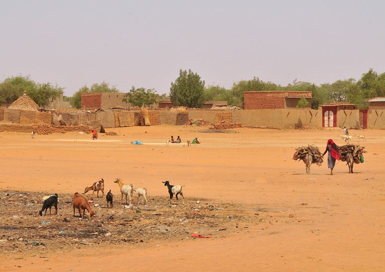 Strengthen National and Regional Approaches to Address Climate-Related Security and Violent Extremism Risks