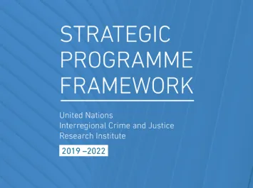 Strategic Programme Framework