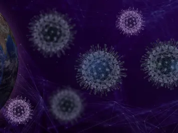 Foto di fernando zhiminaicela da Pixabay