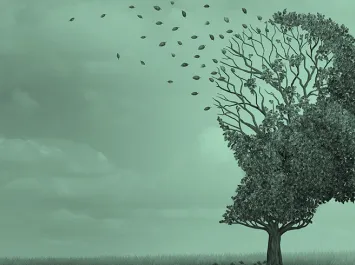 Handbook to combat CBRN disinformation