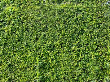 Green Prisons Research Initiative: Call for Experts