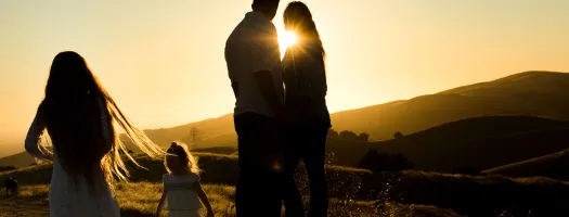 Pilot survey in Italy