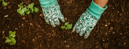 Sustainable Practices in Correctional Facilities