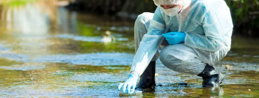 Environmental Crimes